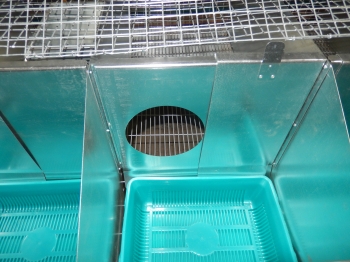 Высококачественная клетка для кроликов Промышленная Версия 2.0 Маточно-откормочное пристеночное исполнение. Сбор навоза в канал 80 см.