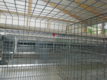 Двухсторонняя откормочная клетка на 72 кролика, со сбором навоза в канал 190см.